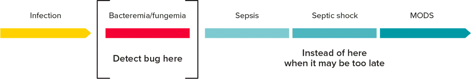 5fca36d580071682a74a6188_sepsis_detect_bug_chart_aw_2x-p-1600