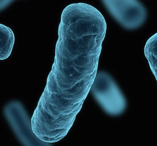 complete-pathogen